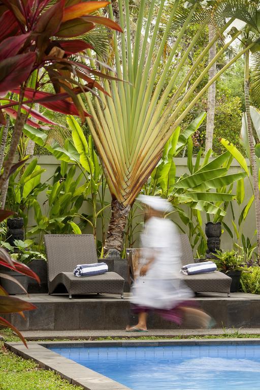 Esterin Villa Ubud  Ruang foto